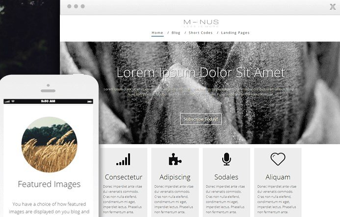 THRIVE THEMES MINUS WORDPRESS THEME
